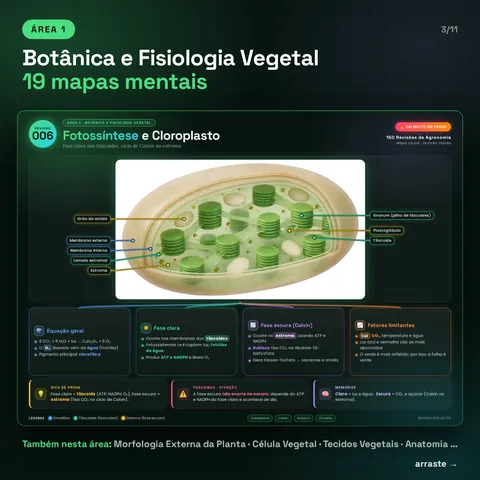 Área 1, Botânica e Fisiologia Vegetal, 19 mapas: exemplo Fotossíntese e Cloroplasto