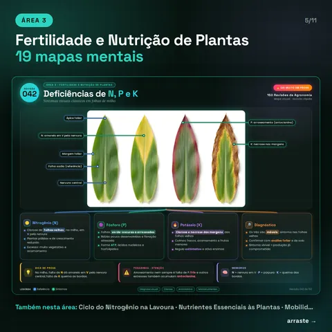 Área 3, Fertilidade e Nutrição de Plantas, 19 mapas: exemplo Deficiências de N, P e K