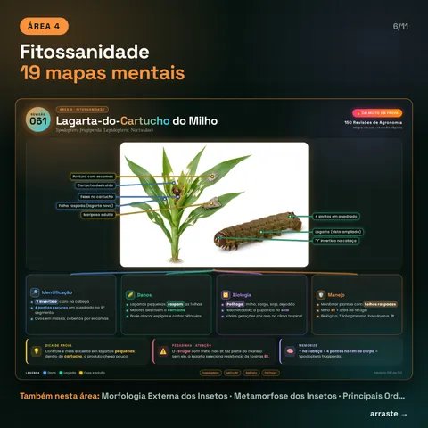 Área 4, Fitossanidade, 19 mapas: exemplo Lagarta-do-Cartucho do Milho