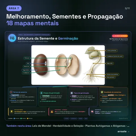 Área 7, Melhoramento, Sementes e Propagação, 18 mapas: exemplo Estrutura da Semente e Germinação