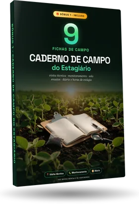Bônus 1: Caderno de Campo do Estagiário