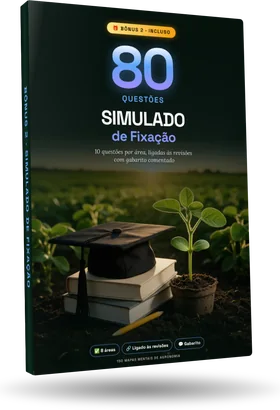 Bônus 2: Simulado de Fixação