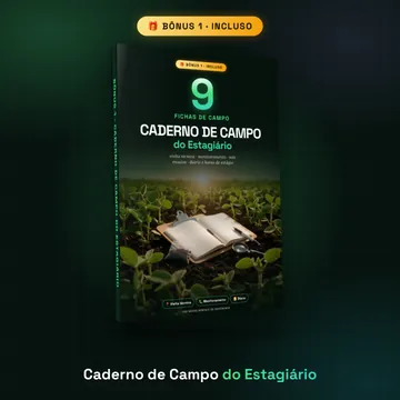 Bônus 1: Caderno de Campo do Estagiário