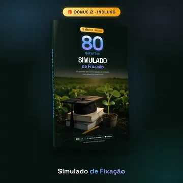 Bônus 2: Simulado de Fixação