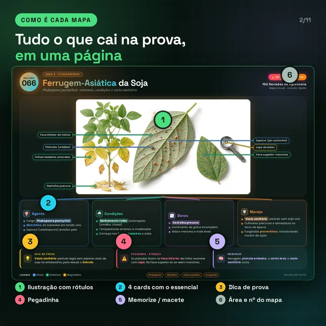 Exemplo real: revisão 066, Ferrugem-Asiática da Soja, com ilustração rotulada, 4 cards, dica de prova, pegadinha e memorize numerados de 1 a 6